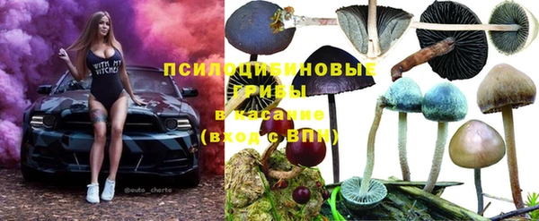 MDMA Premium VHQ Дмитровск